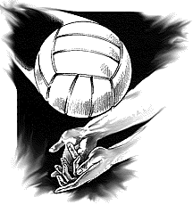 volleyball_and_hands.gif